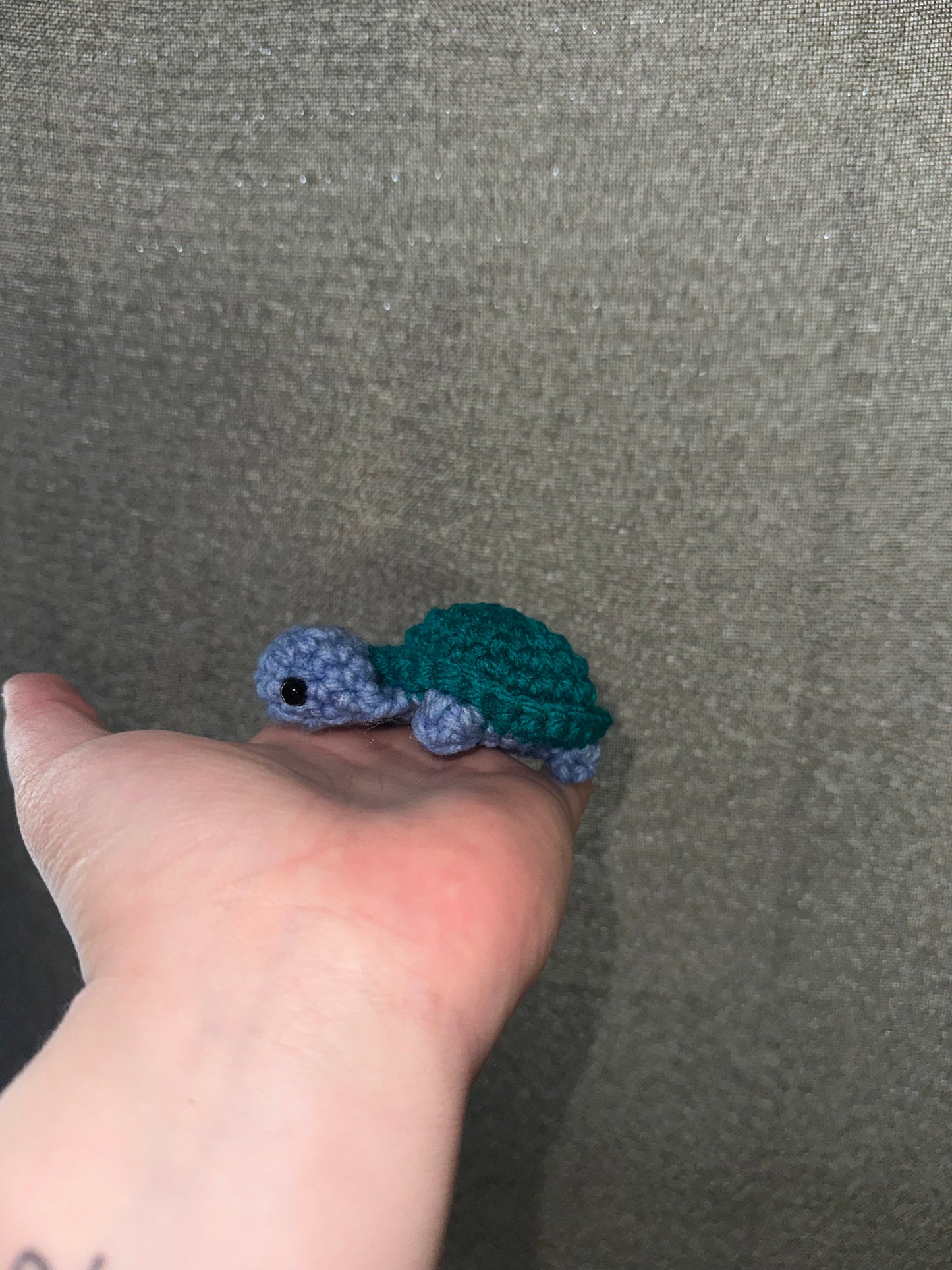 Lil Turtle