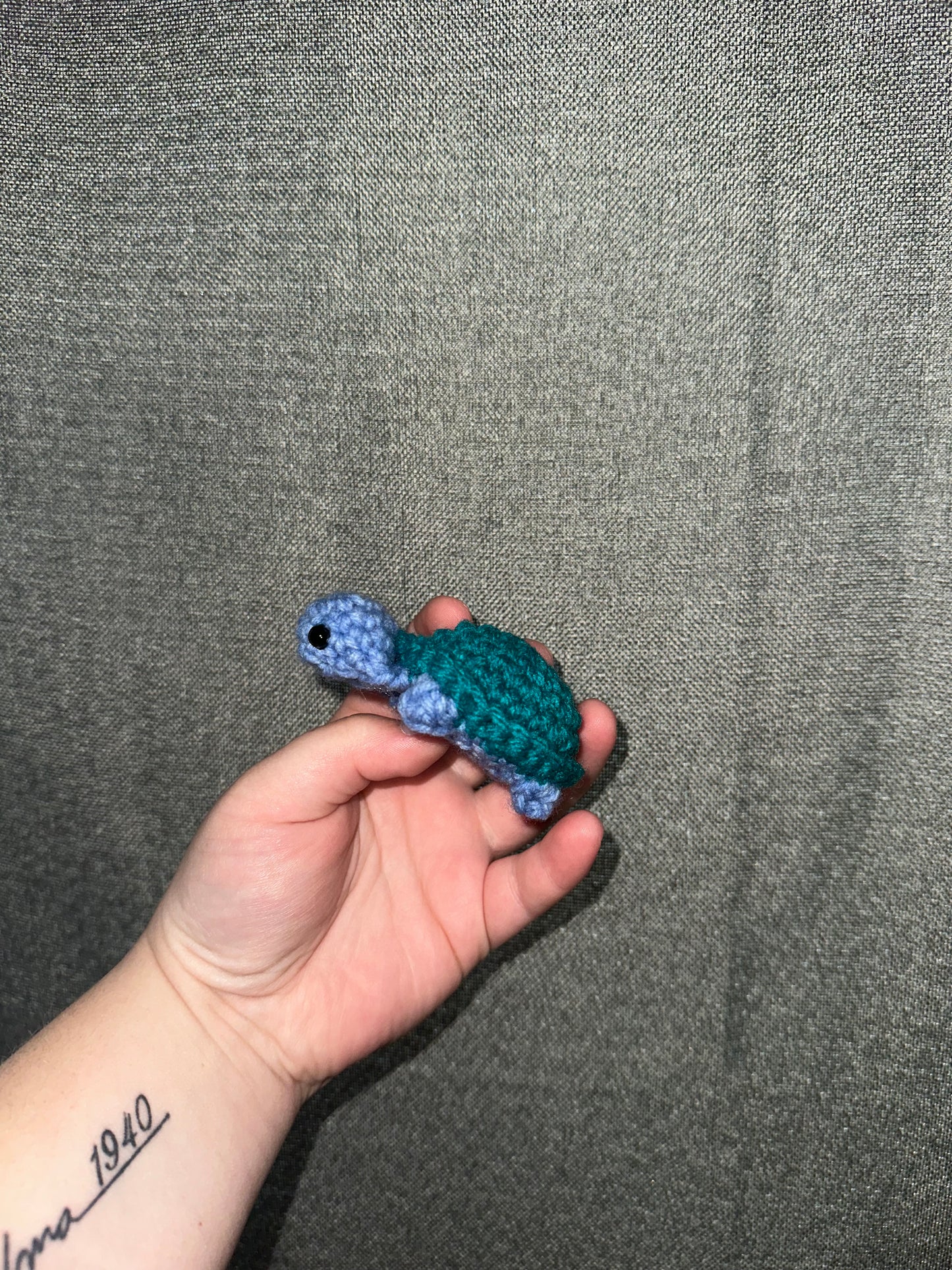 Lil Turtle